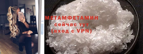 гидра Михайловка