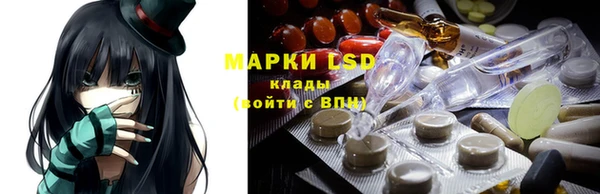 гидра Михайловка