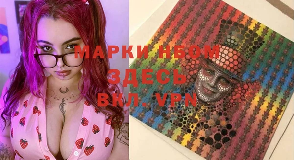 гидра Михайловка