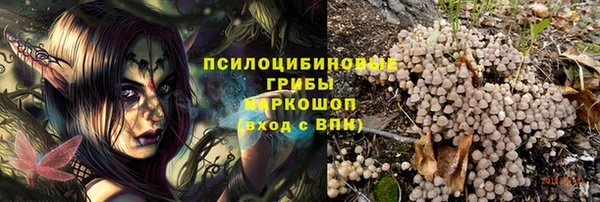 кокс Михайлов