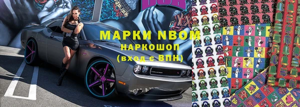 гидра Михайловка