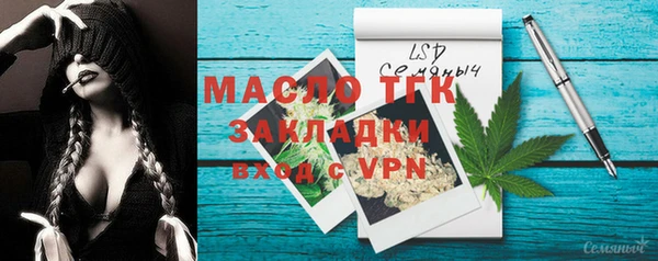 гидра Михайловка