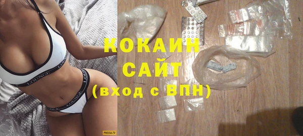 гидра Михайловка