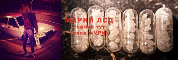 гидра Михайловка