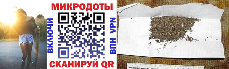 Псилоцибиновые грибы Cubensis  Купить закладки  Покров 